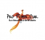 logo PROFENIXCAR